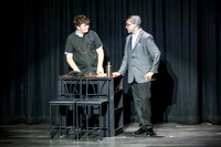 Anything Goes 2026