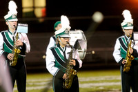 Marching Band and Flag Corps 2015