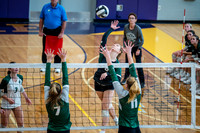 Volleyball Regional Finals 2024