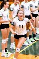varsity volleyball 2018